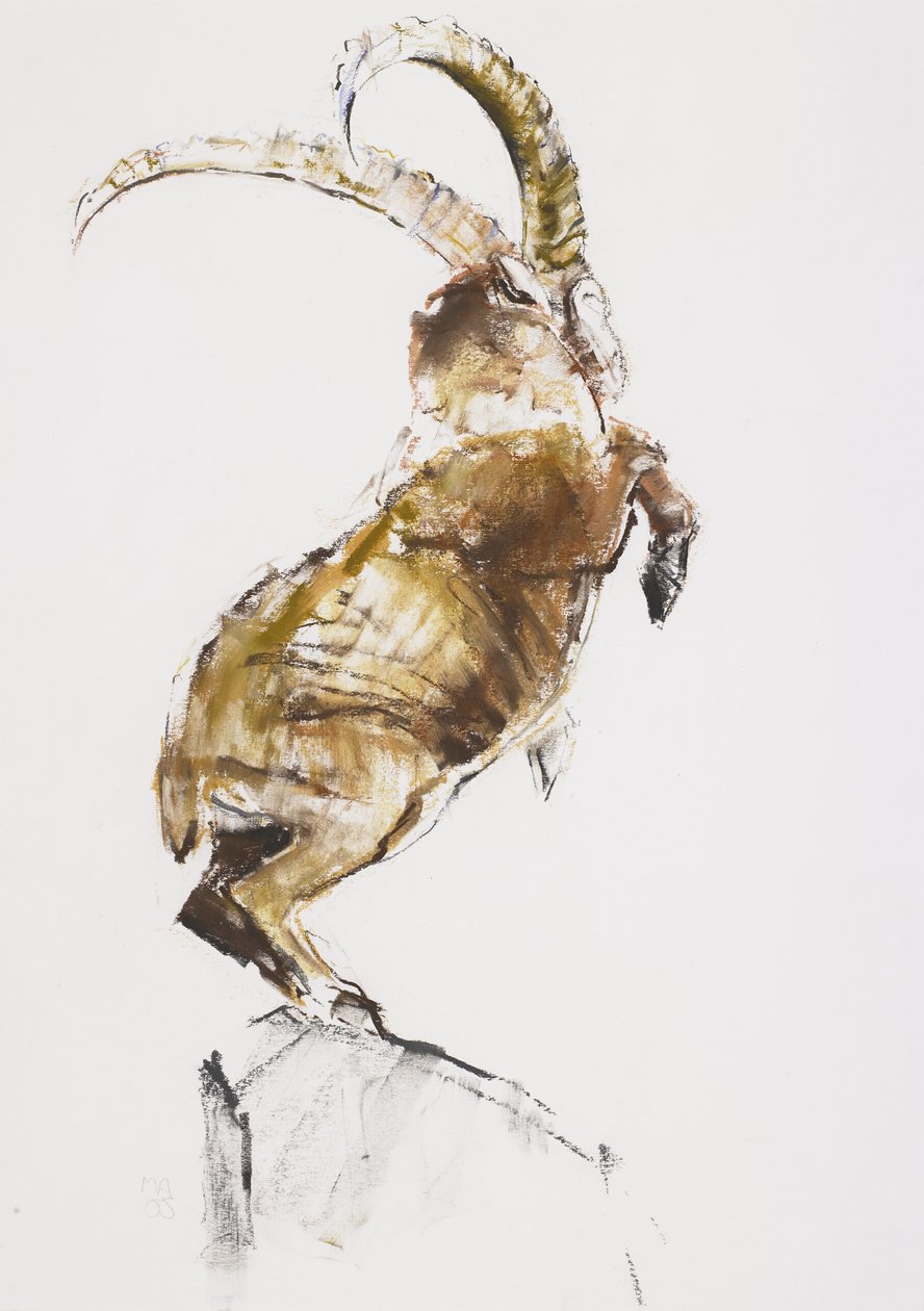 King of the Mountain, 2005 (hiili ja conte paperilla) tekijältä Mark Adlington