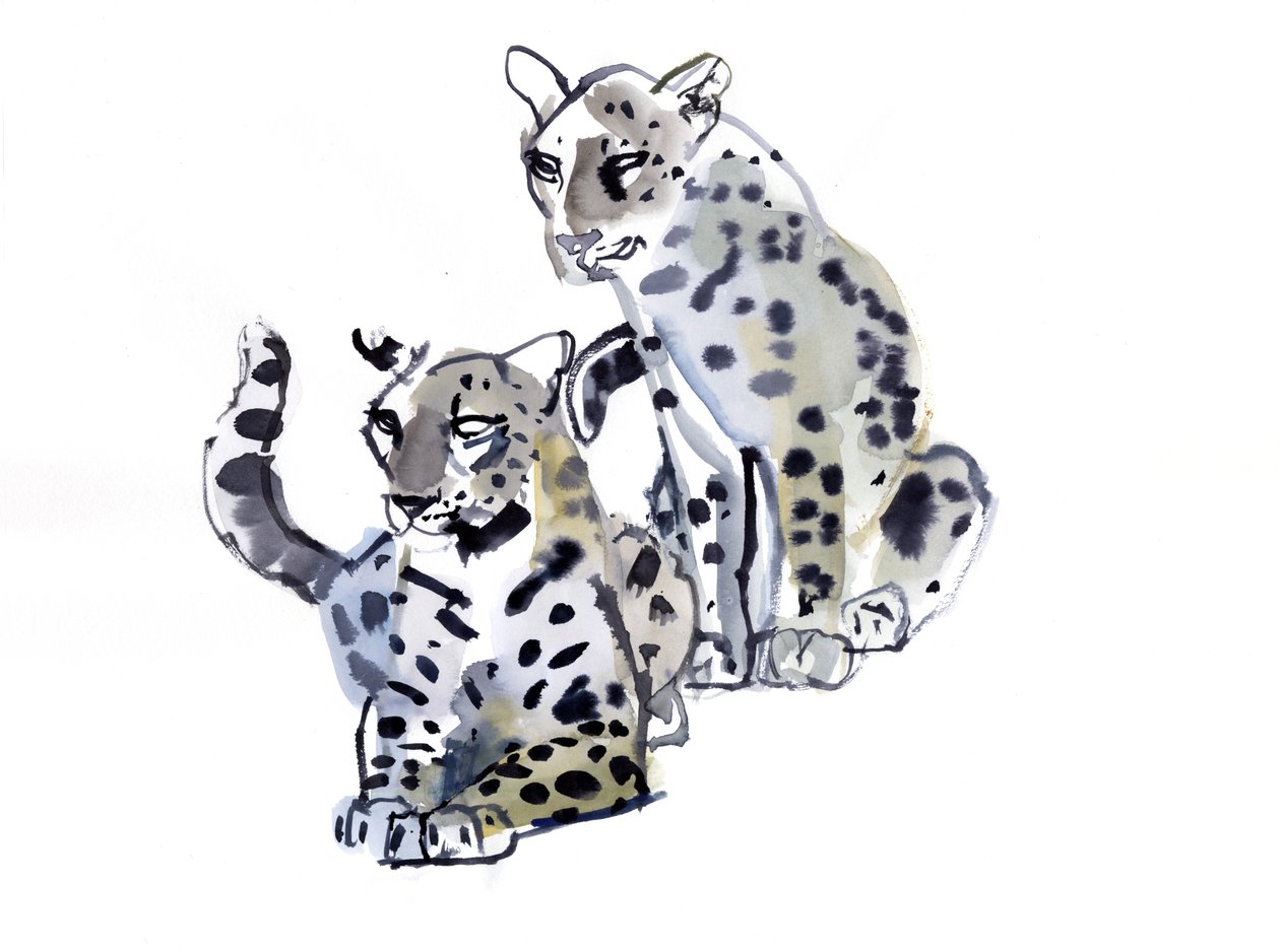 Äiti ja poika (Arabian Leopards), 2008 tekijältä Mark Adlington