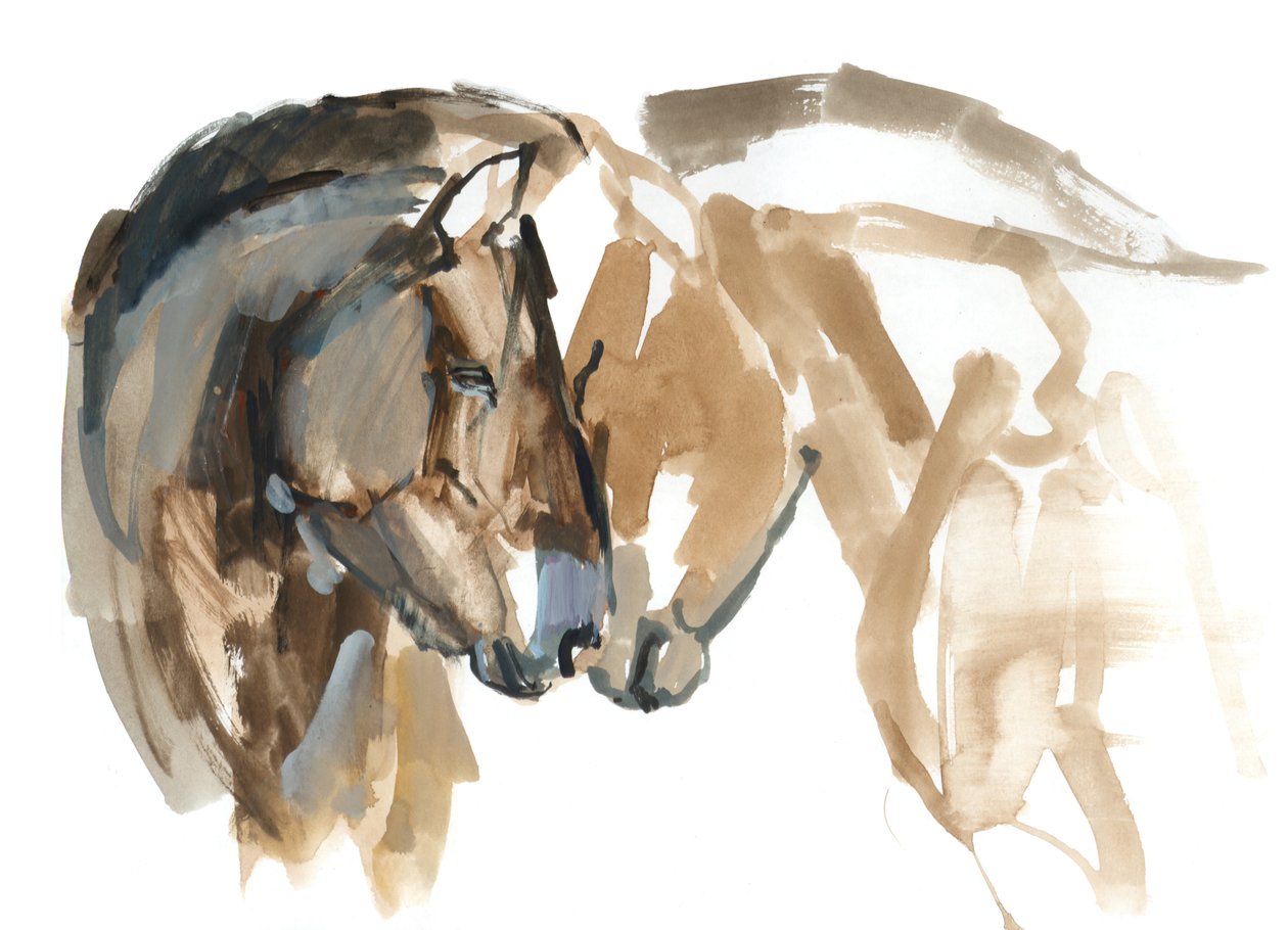 Nenästä nenään (Przewalski), 2013 (sennelier-muste, akvarelli ja guassi) tekijältä Mark Adlington