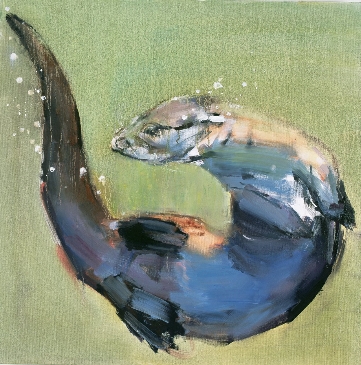 Saukko, 2003 tekijältä Mark Adlington