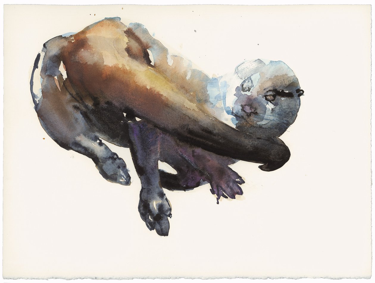 Otter Study I - "Talisker" tekijältä Mark Adlington