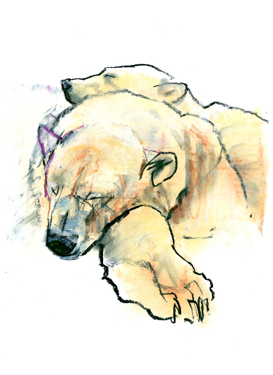 Tyyny, 2016 tekijältä Mark Adlington