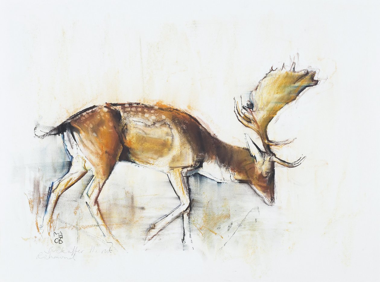 Pisanello Buck, 2006 (hiili ja conte paperille) tekijältä Mark Adlington