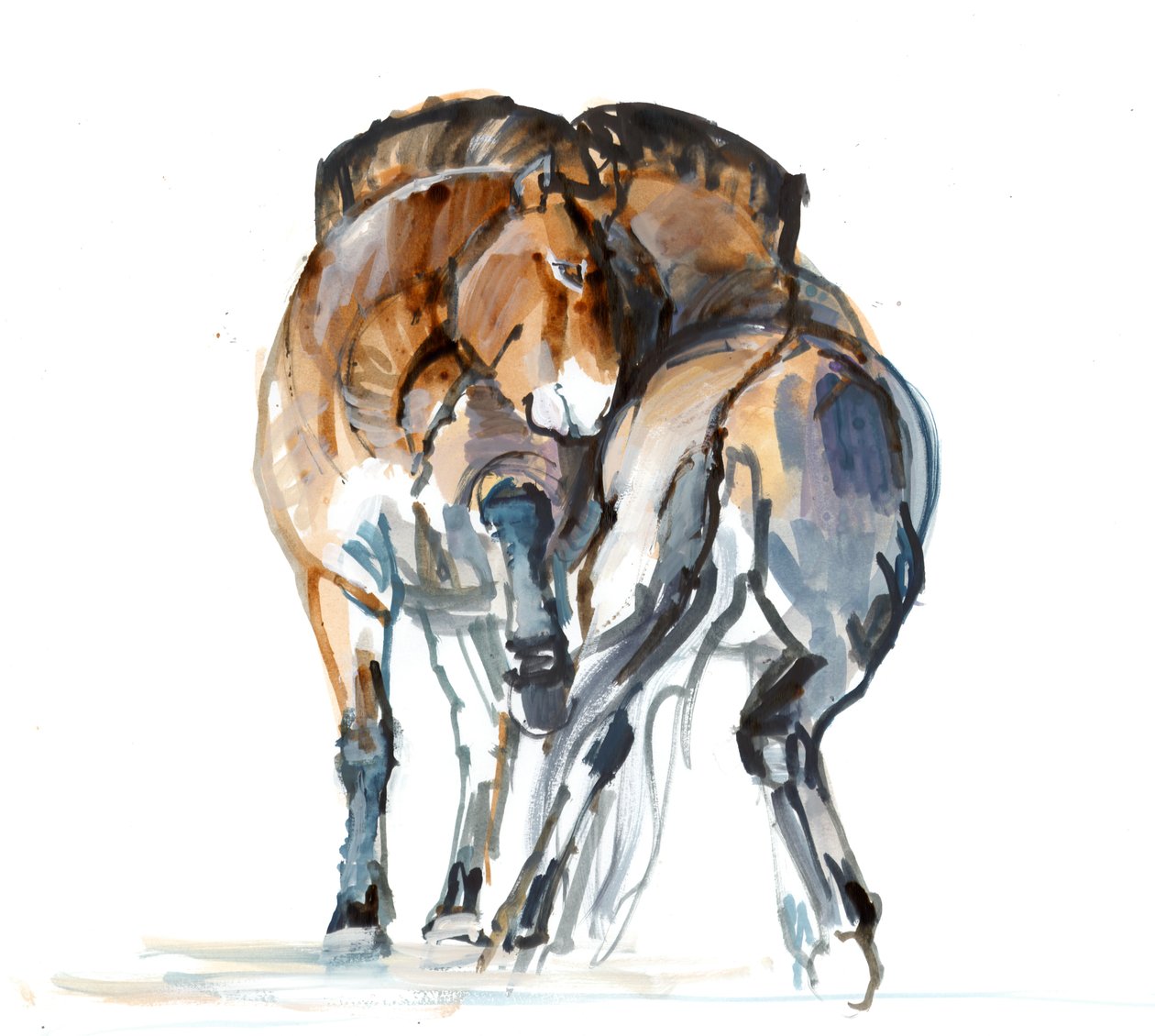 Power Dance (Przewalski), 2013 (sennelier-muste, akvarelli ja guassi) tekijältä Mark Adlington