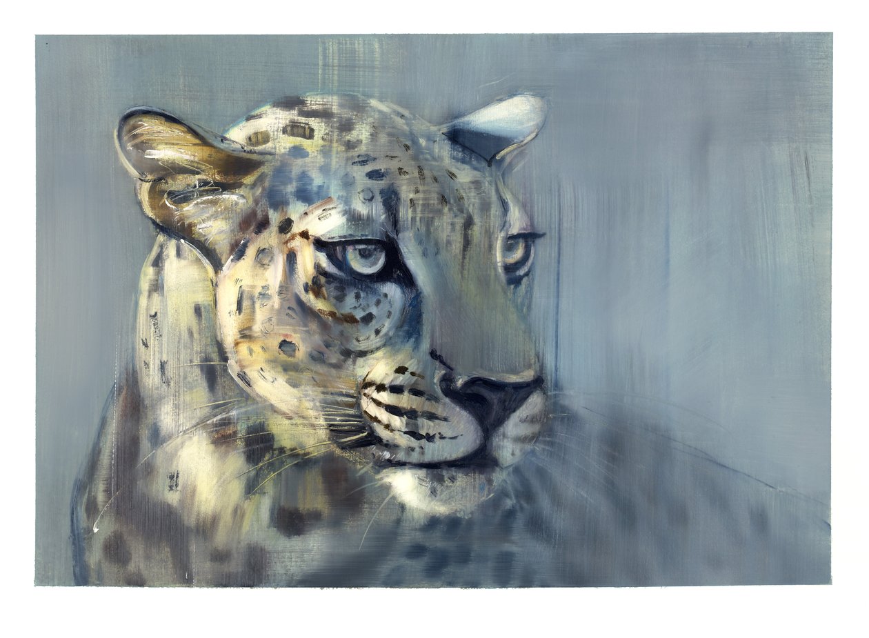 Predator II (Arabian Leopard), 2009 (öljy paperille) tekijältä Mark Adlington