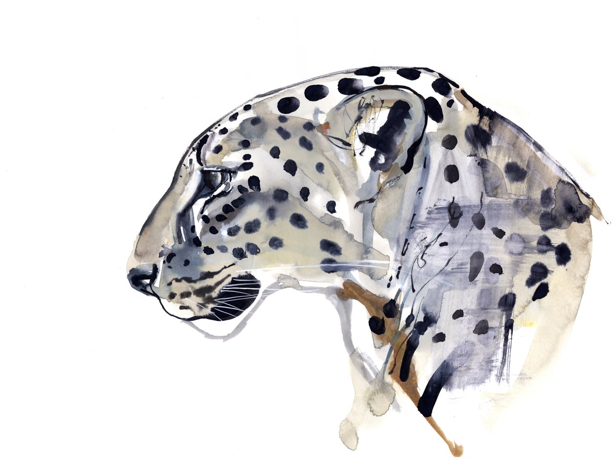 Profiili (Arabian Leopard), 2008 tekijältä Mark Adlington