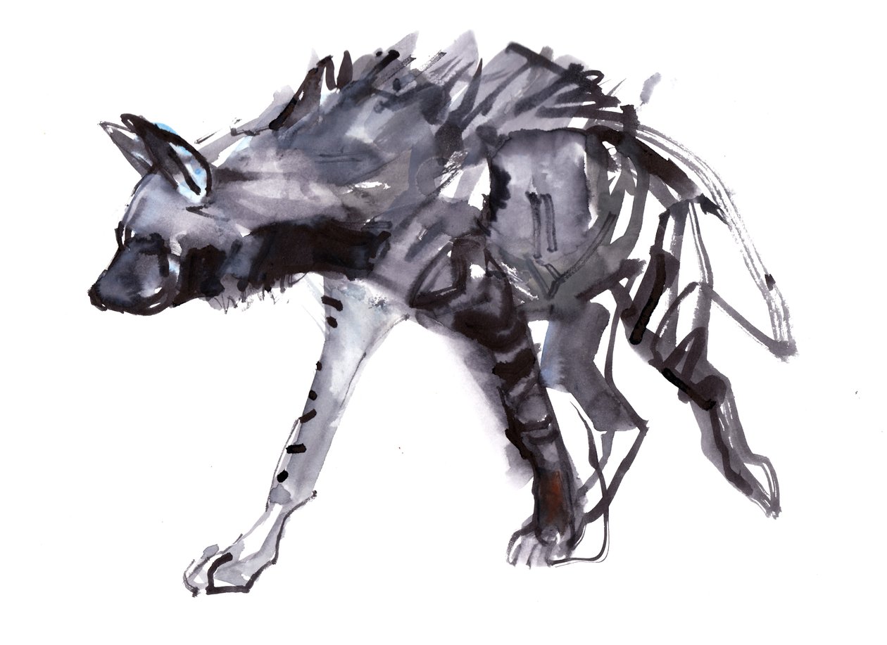Ragamuffin, 2010, (akvarelli paperille) tekijältä Mark Adlington