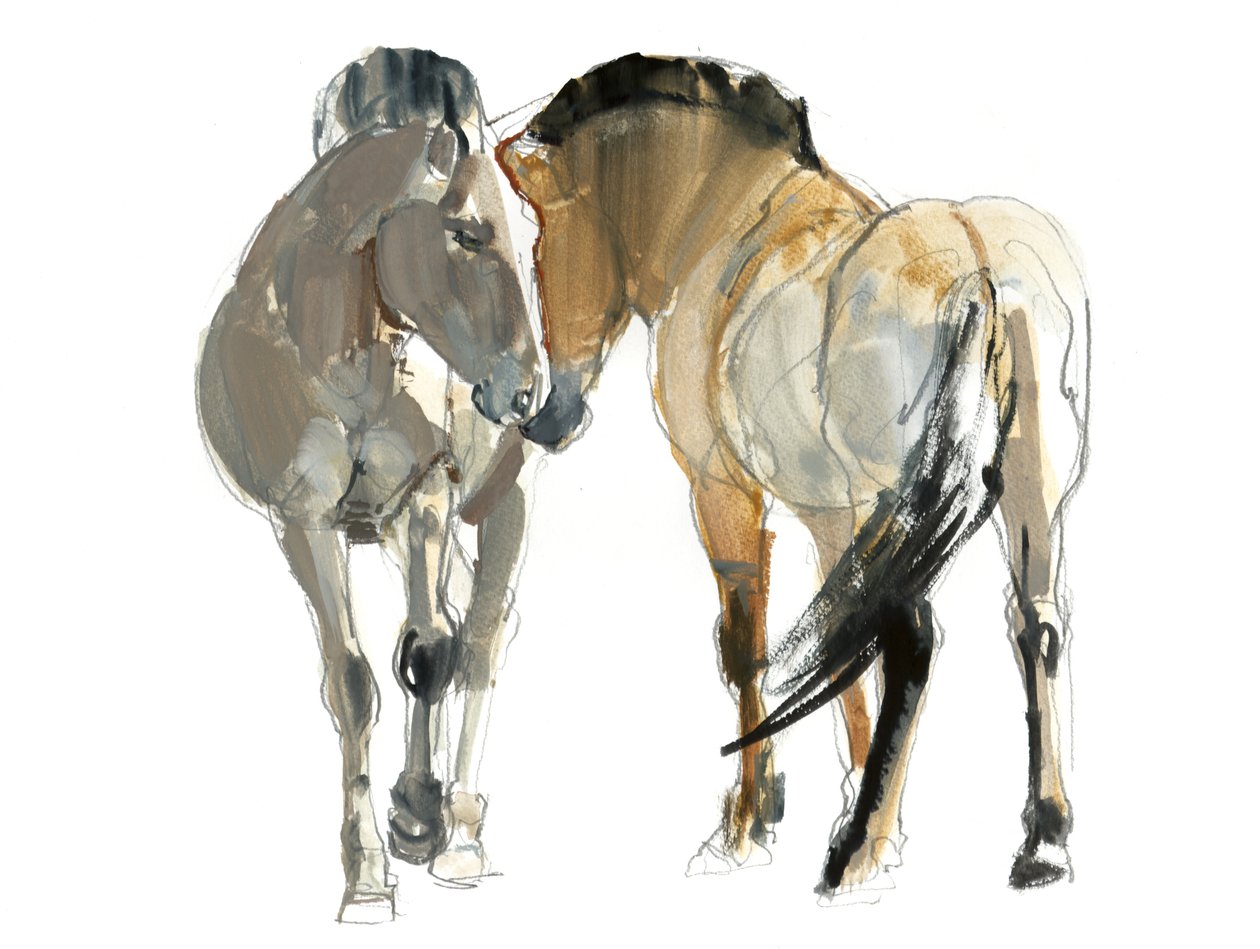 Rencontre (Przewalski), 2013, (akvarelli ja pigmentti paperille) tekijältä Mark Adlington