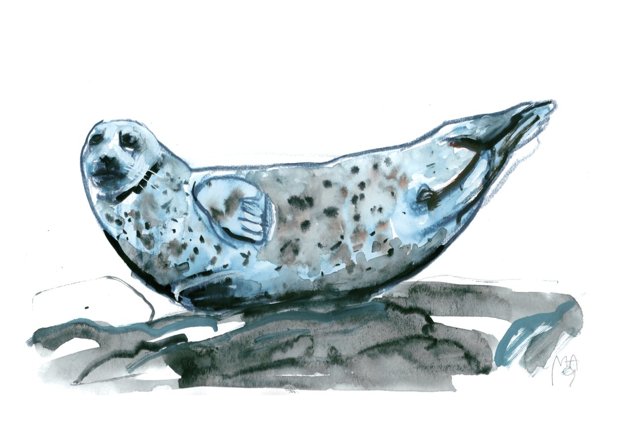 Rocky (hylje), 2019 tekijältä Mark Adlington