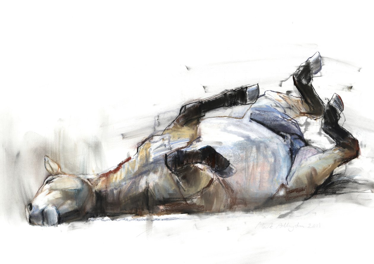 Rolling Rolling Rolling, 2011, (hiili, conté ja pastelli paperille) tekijältä Mark Adlington
