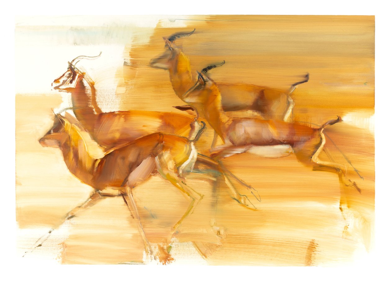 Juoksevat gasellit, 2010 (öljy paperille) tekijältä Mark Adlington