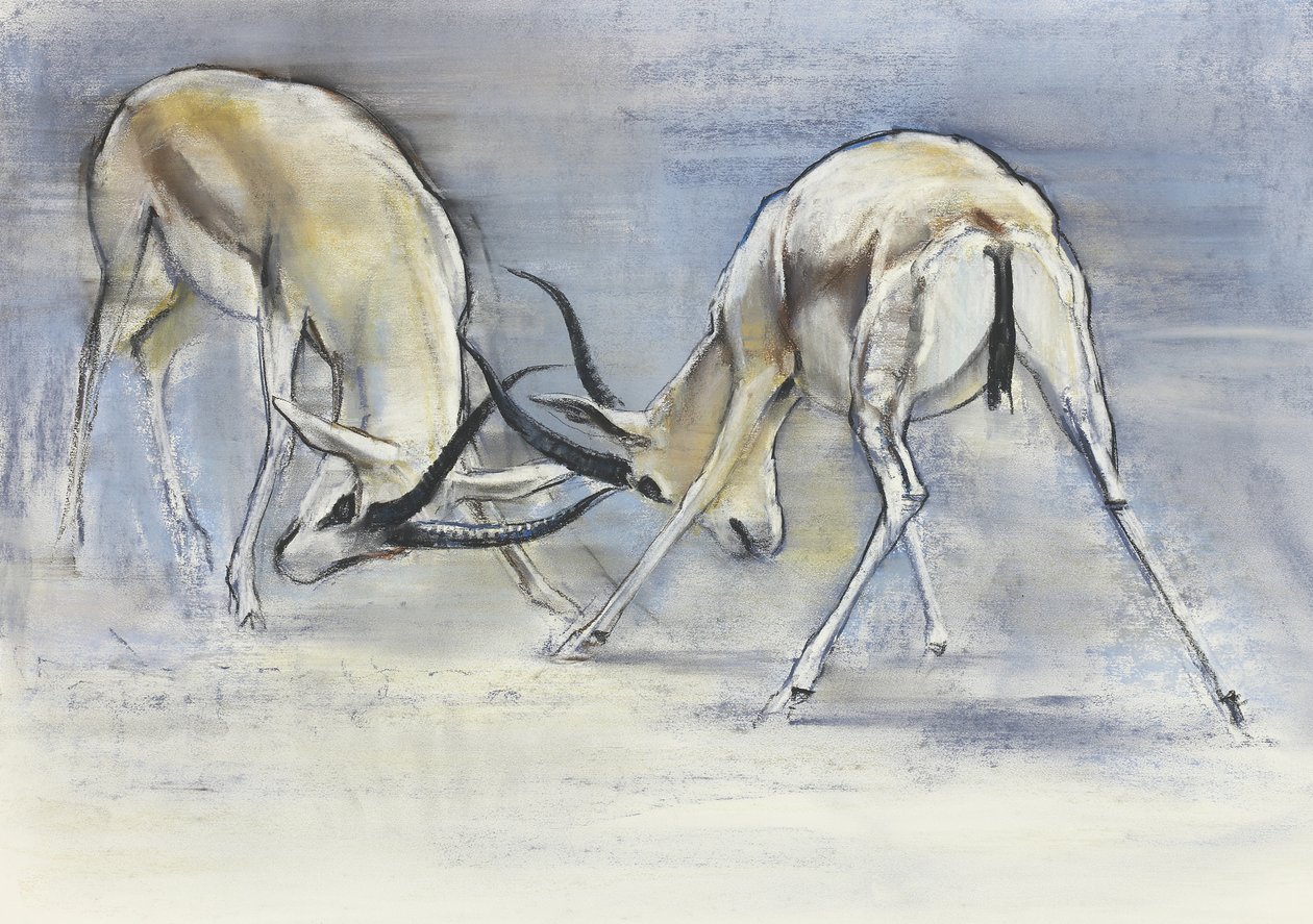 Sand Gazelles, 2009 (conte ja hiili paperille) tekijältä Mark Adlington