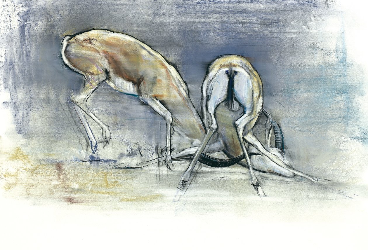 Sand Gazelles, 2009 (conte ja hiili paperille) tekijältä Mark Adlington