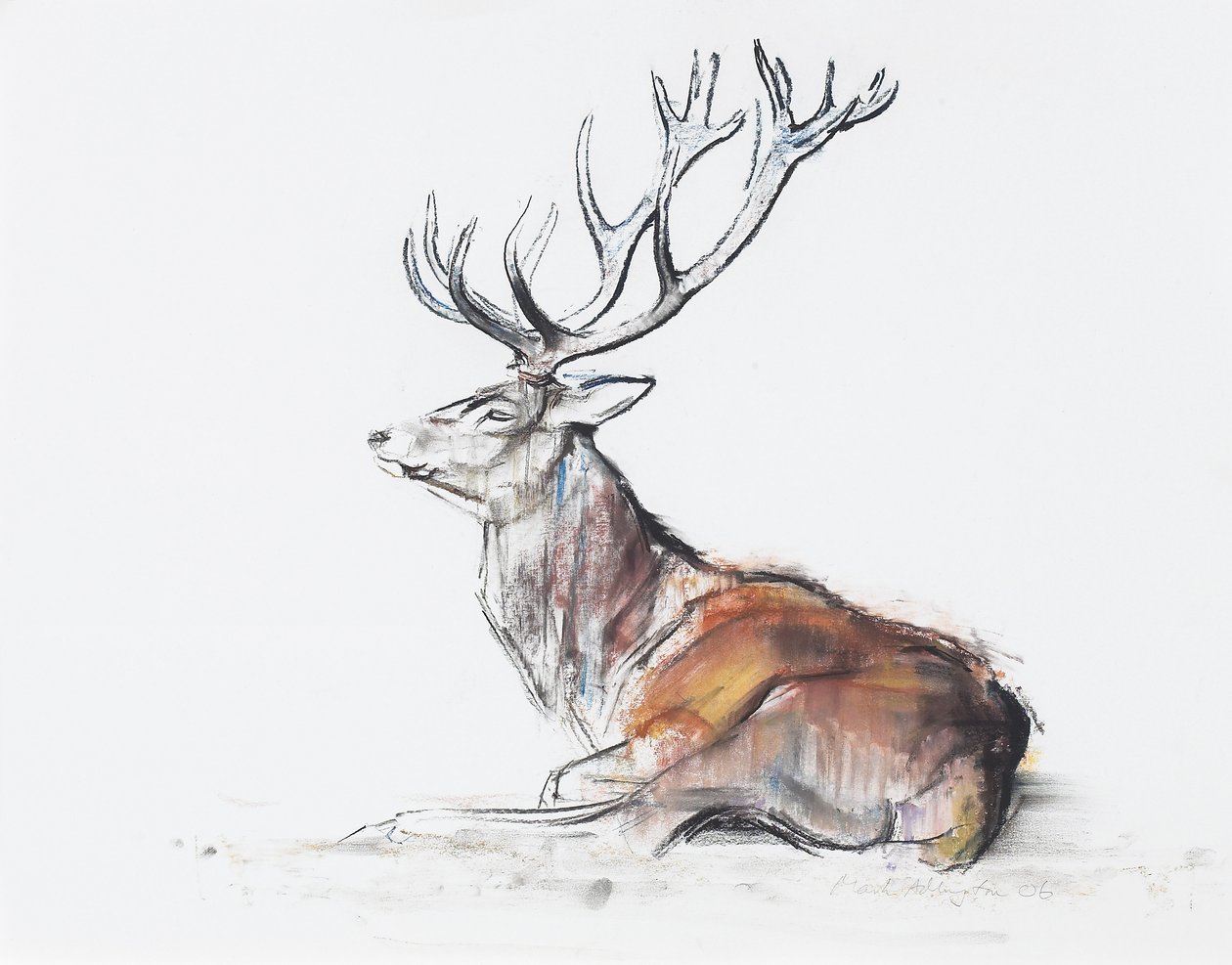 Seated Stag, 2006 (hiili ja conte paperilla) tekijältä Mark Adlington