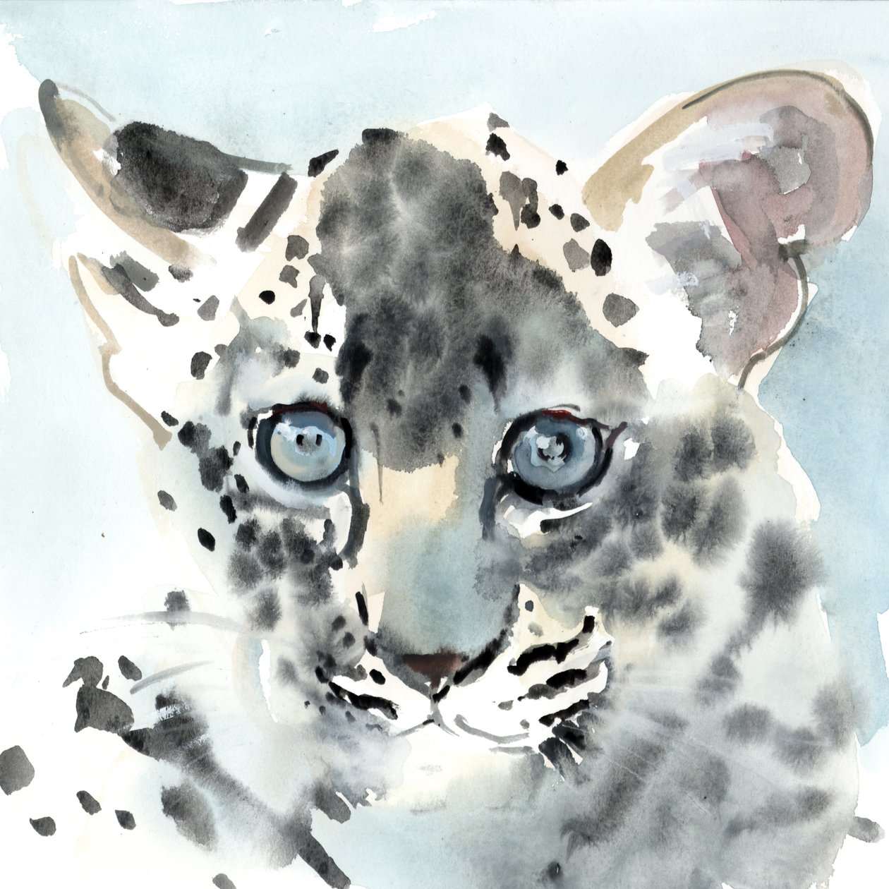 Shy, 2015, (akvarelli paperille) tekijältä Mark Adlington