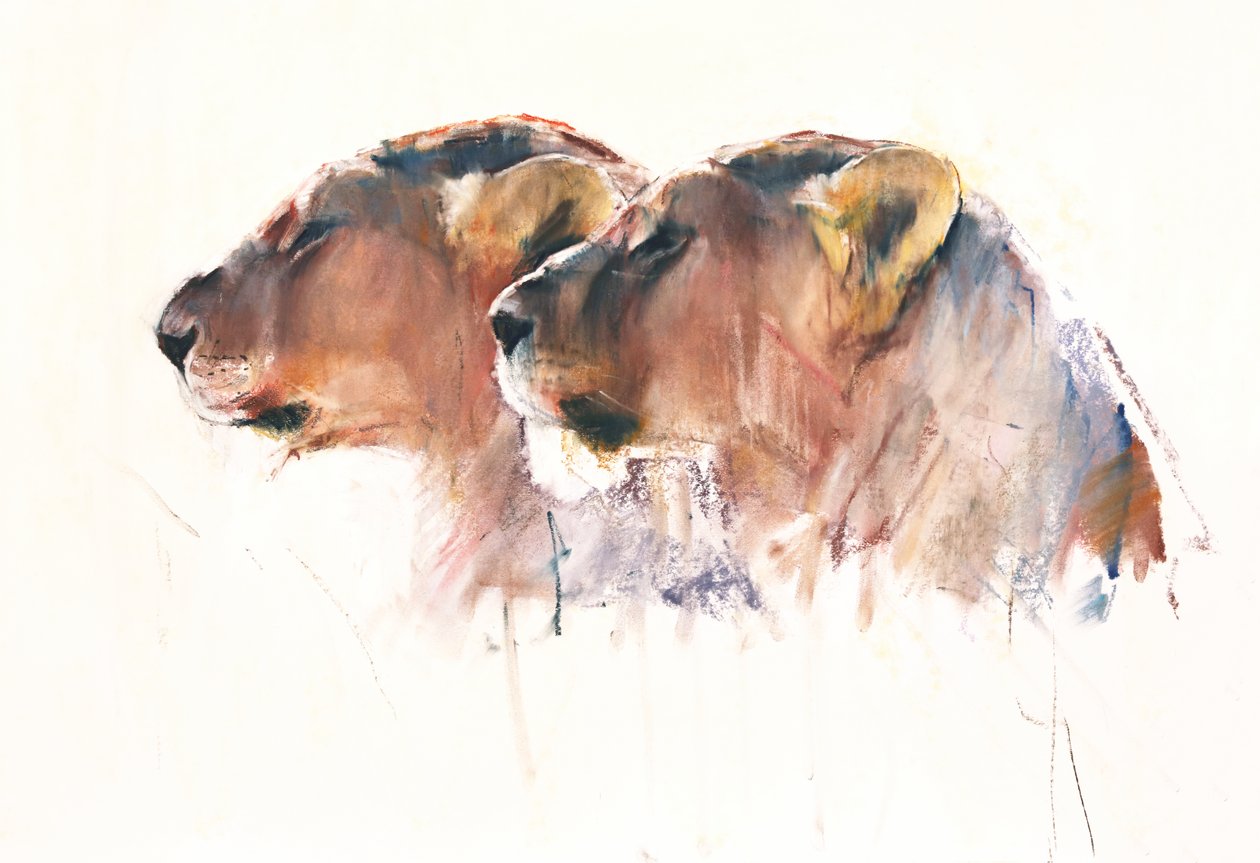Sisaret, Etosha, 2017 tekijältä Mark Adlington
