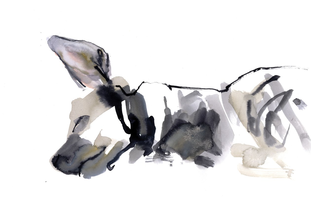 Sleeping Hyaena, 2010, (akvarelli paperille) tekijältä Mark Adlington