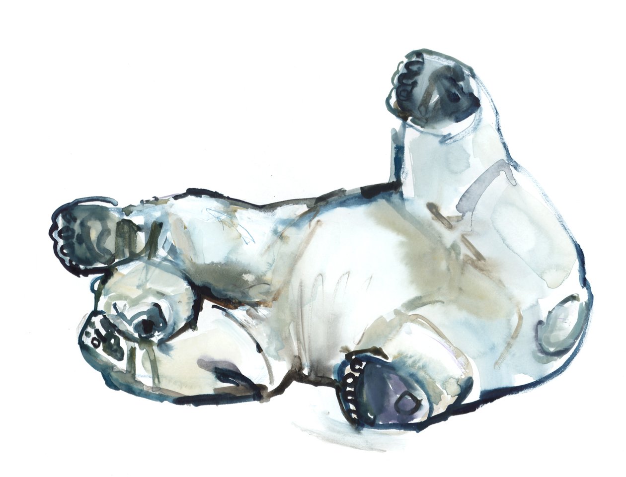 Snow Rub (jääkarhu), 2013 (akvarelli ja guassi paperille) tekijältä Mark Adlington