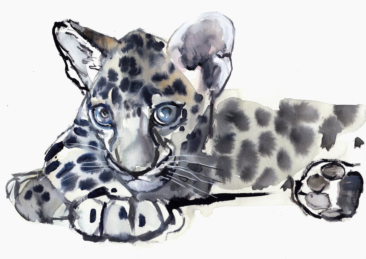 Spotty (arabileopardipentu), 2008 tekijältä Mark Adlington
