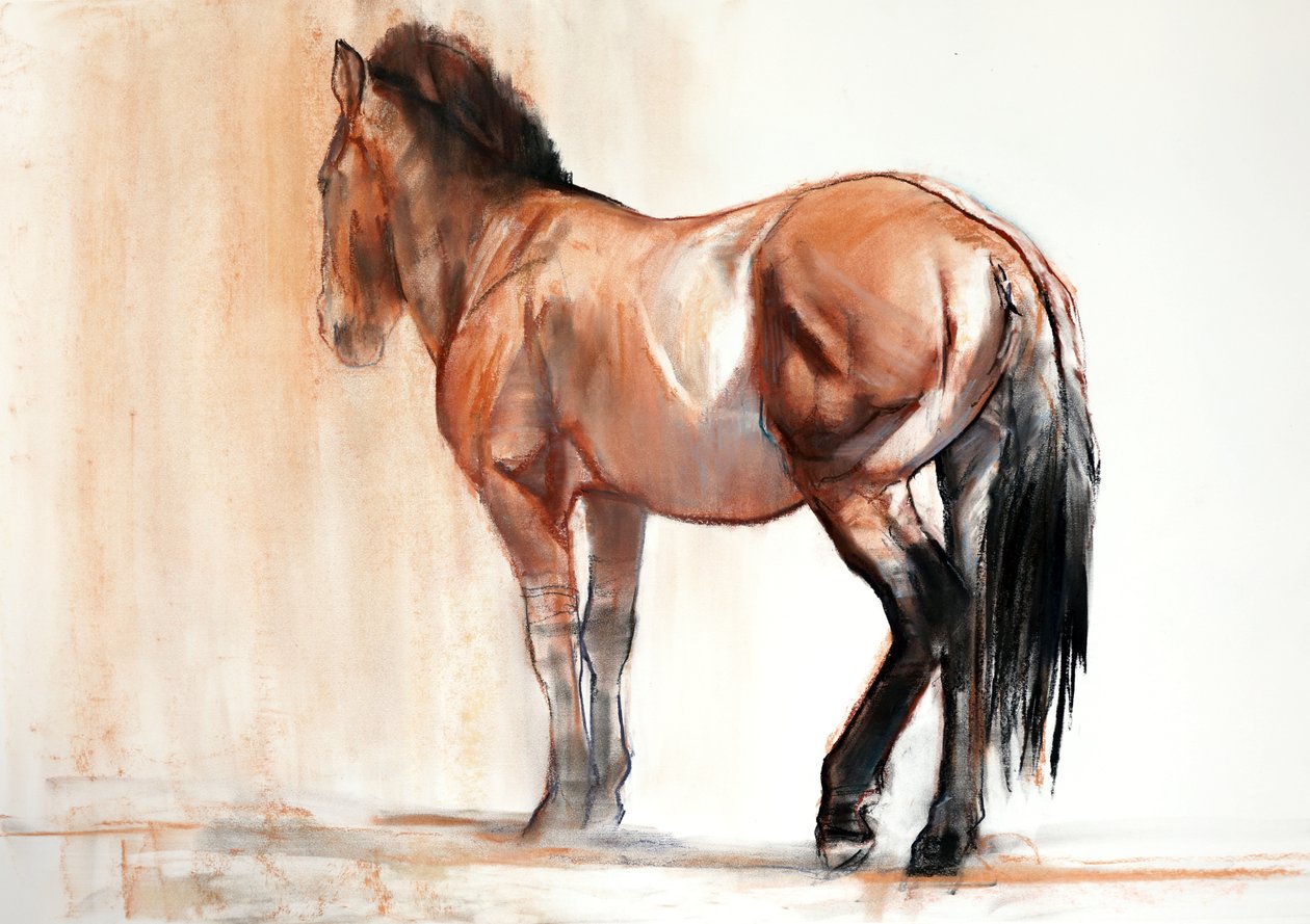 Stand (Przewalski), 2013, (pastelli ja hiili paperille) tekijältä Mark Adlington