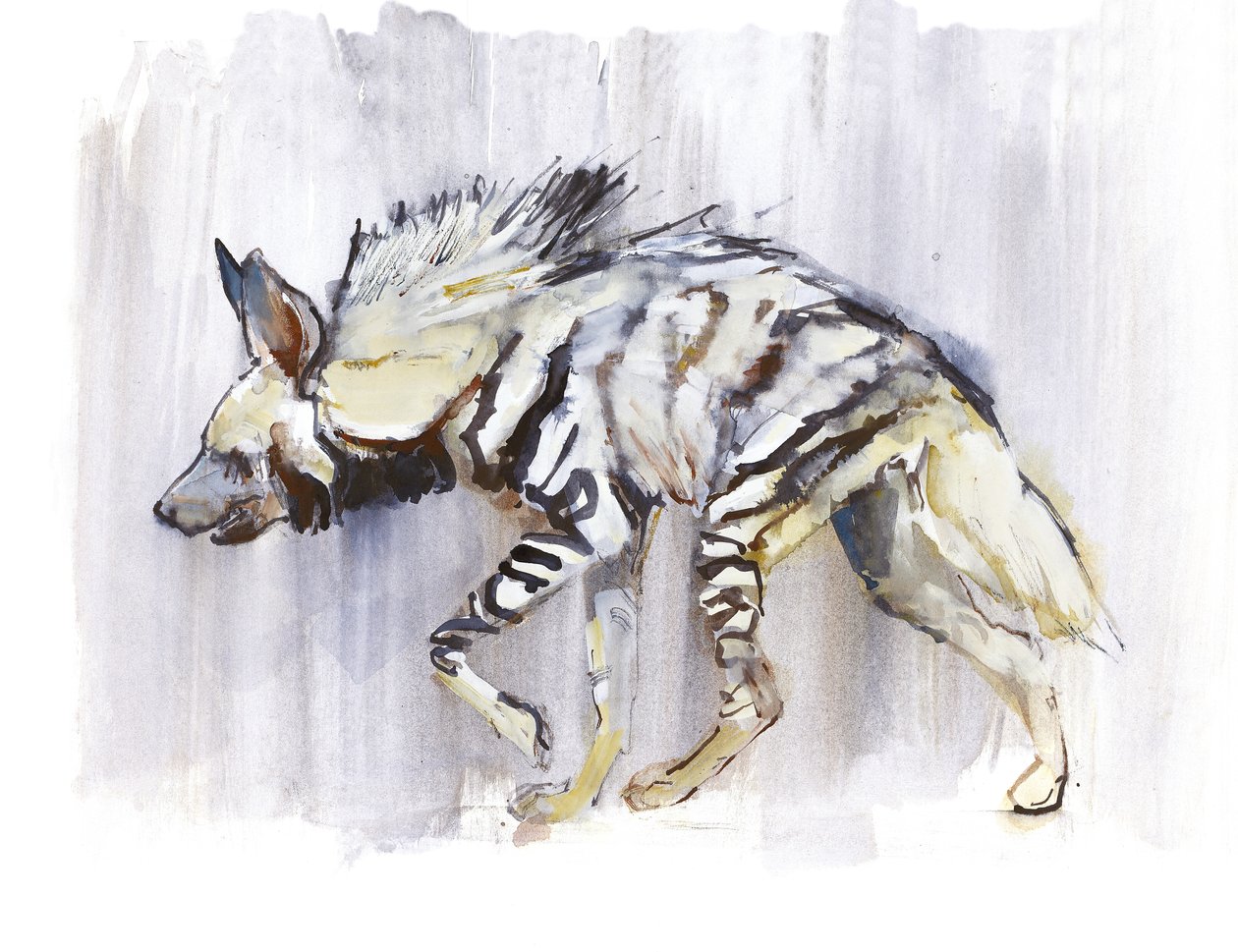 Raidallinen hyena, 2010, (akvarelli paperille) tekijältä Mark Adlington