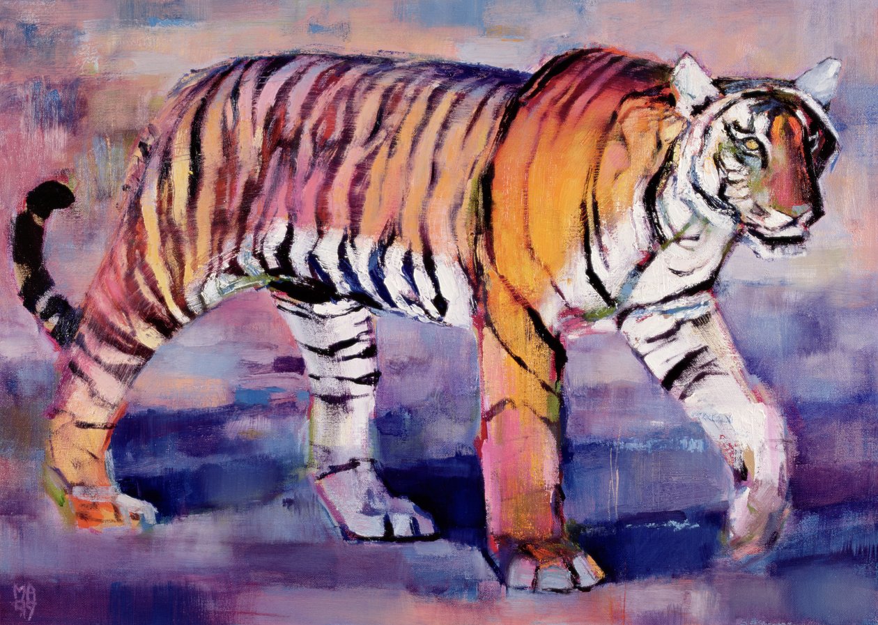 Tigress, Khana, Intia, 1999 tekijältä Mark Adlington