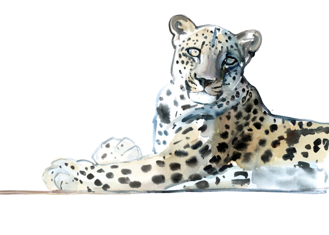 Tilt (Arabian Leopard), 2015, (akvarelli ja guassi paperille) tekijältä Mark Adlington