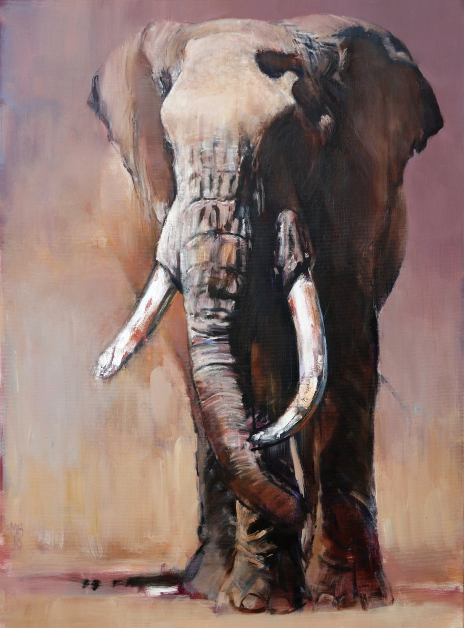 Ero, Chyulu Hills, 2018 tekijältä Mark Adlington