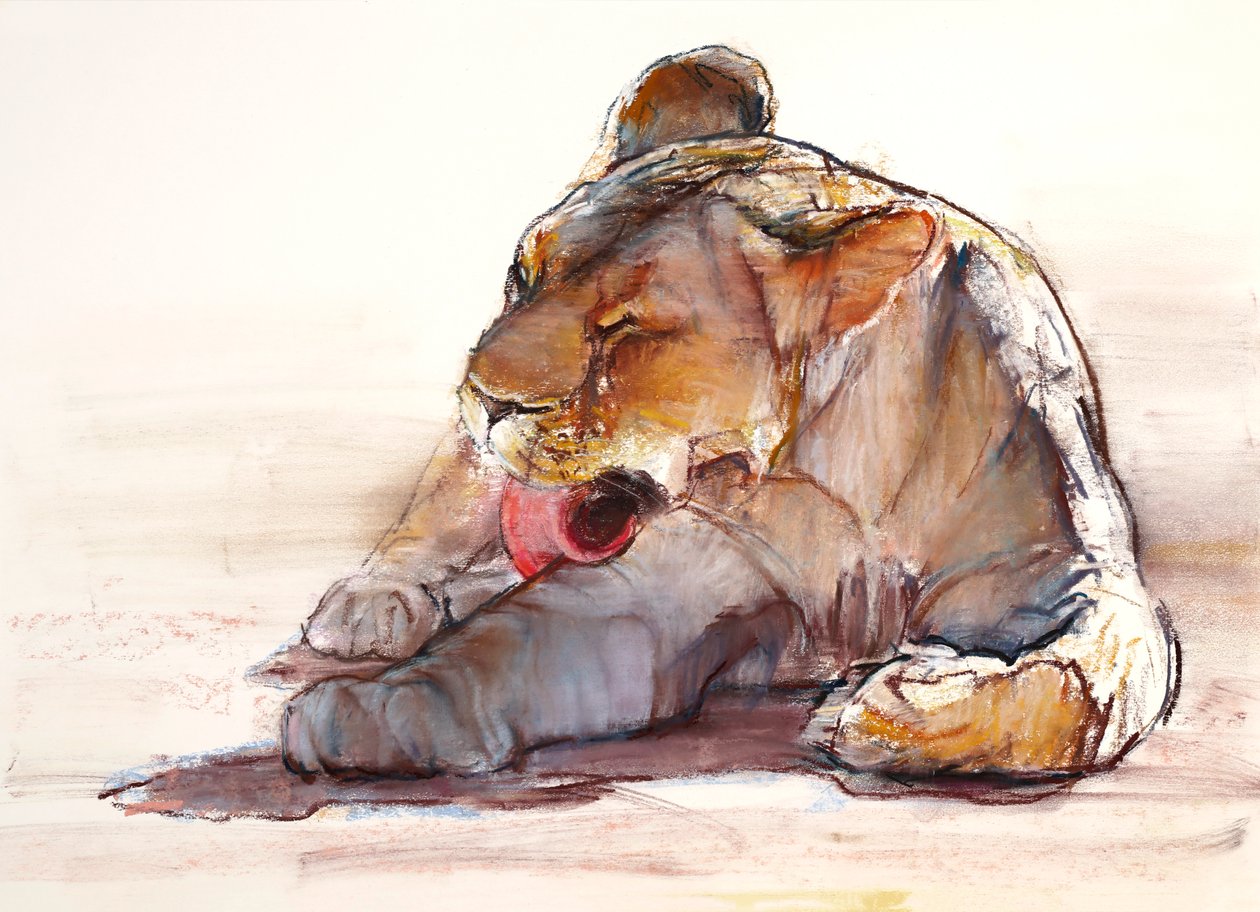 Tongue Bath, 2019 tekijältä Mark Adlington