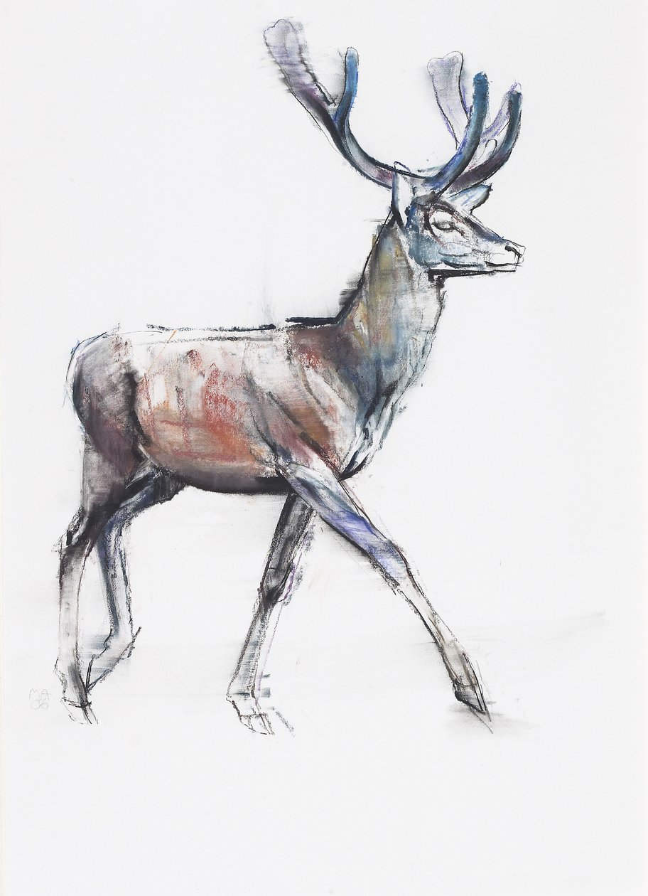 Velvet, 2006 (hiili ja conte paperilla) tekijältä Mark Adlington