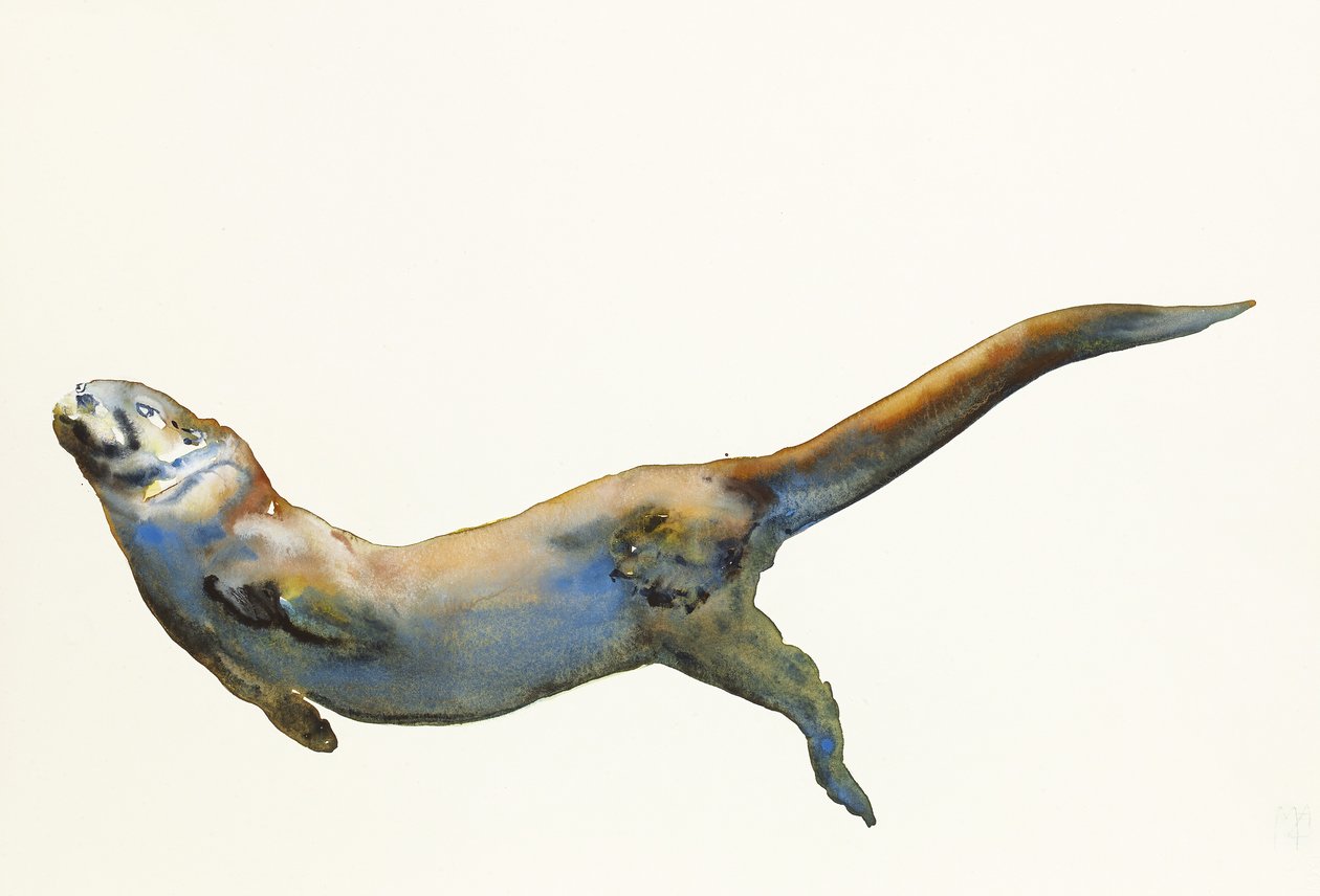 Velvet, 2014, (akvarelli paperille) tekijältä Mark Adlington