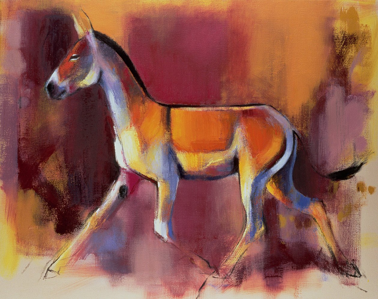 Wild Ass, Rann of Kutch, 1996 tekijältä Mark Adlington