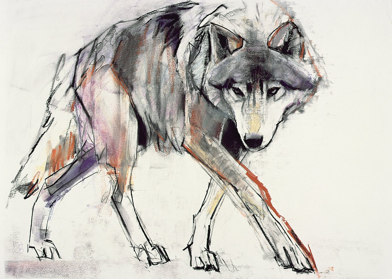 Wolf (sekatekniikka paperille) tekijältä Mark Adlington