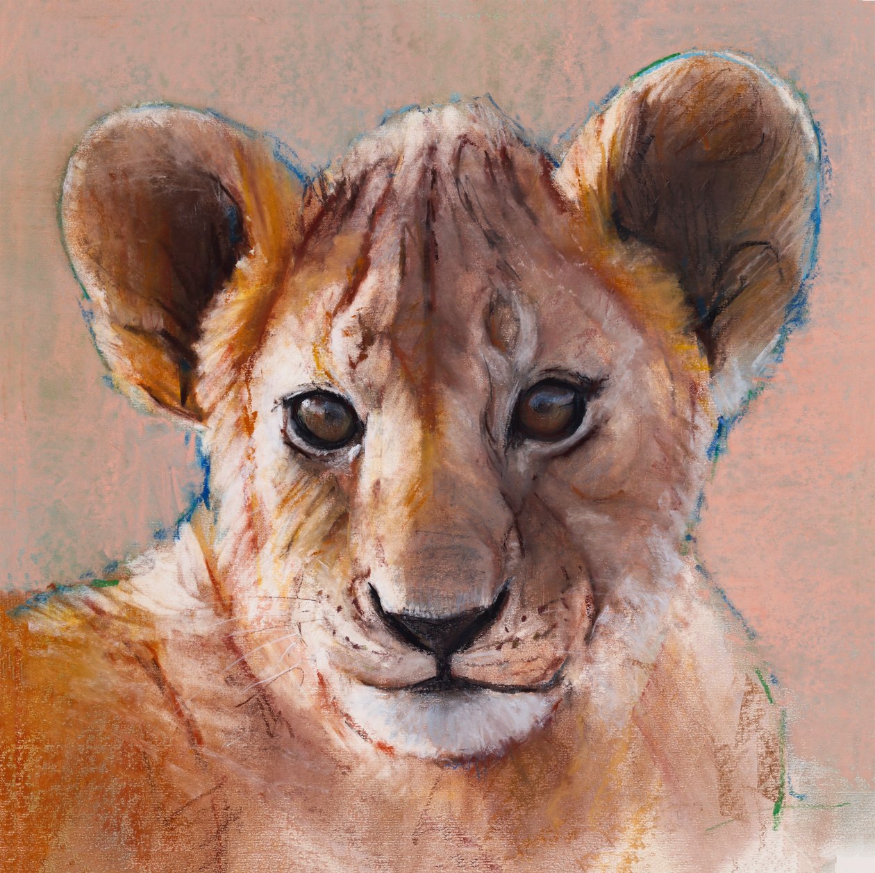Nuorin poikanen, Masai Mara, 2019 tekijältä Mark Adlington