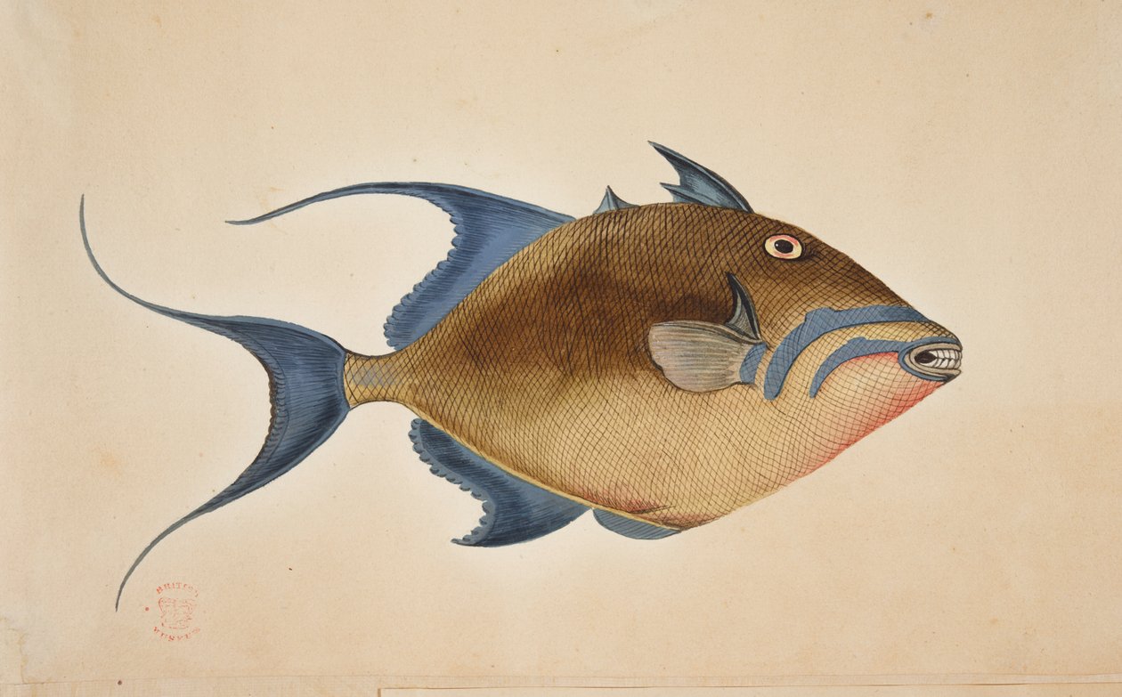 Kala. tekijältä Mark Catesby