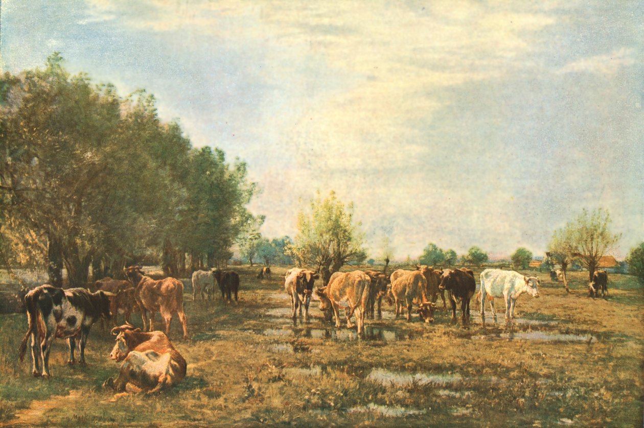 Fen Meadows karjan kanssa, 1877, c1930. tekijältä Mark Fisher