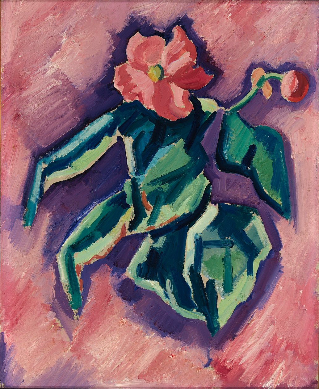 Rosa Begonien tekijältä Marsden Hartley