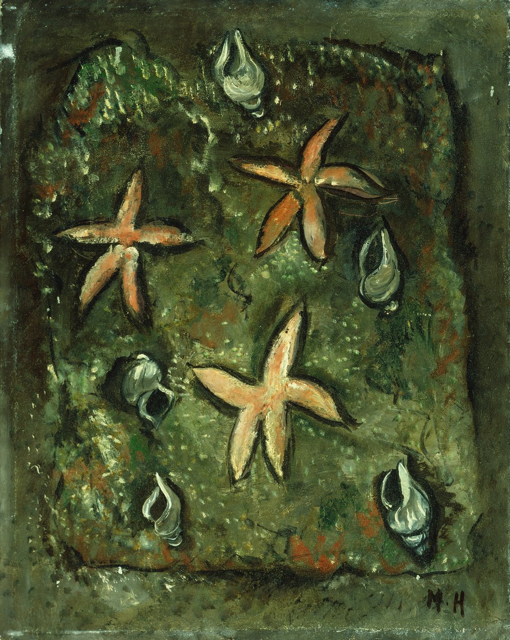 Tähtikaloja ja kuoria tekijältä Marsden Hartley