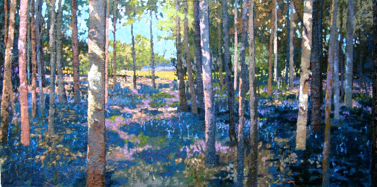 Bluebell Wood, 2009 tekijältä Martin Decent