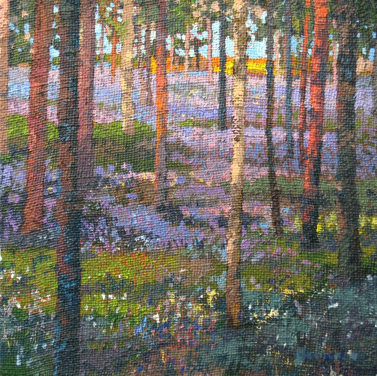 Myöhäinen Bluebell Wood, 2014 tekijältä Martin Decent