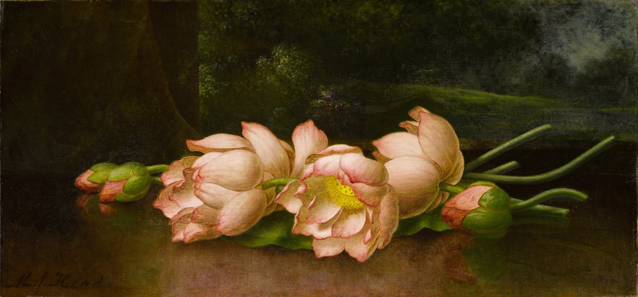 Lootuskukat taustalla maisemamaalauksella tekijältä Martin Johnson Heade