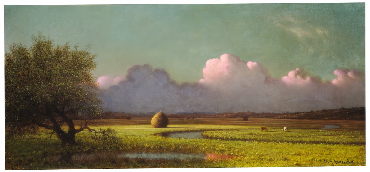 Auringonvalo ja varjo: Newburyn suot tekijältä Martin Johnson Heade