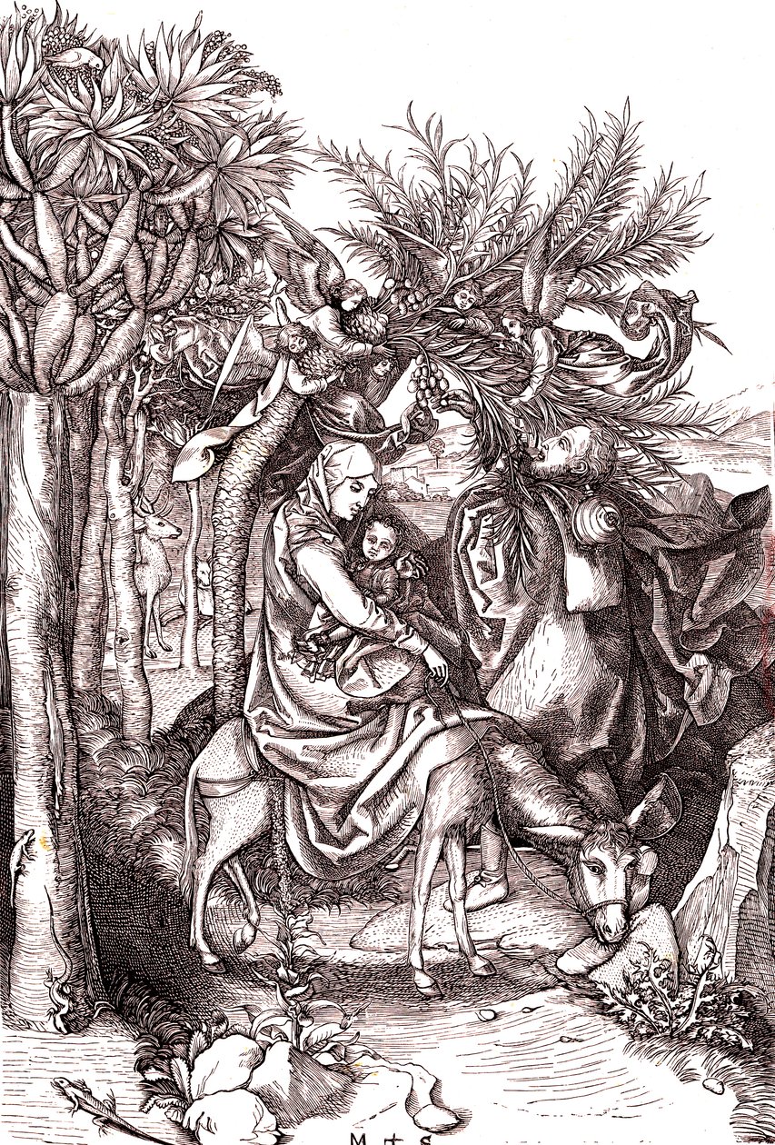 Lento Egyptiin, Pyhä perhe tekijältä Martin (after) Schongauer
