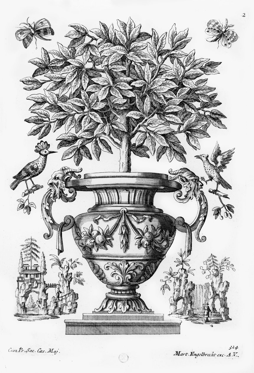 Sitruspuita, noin 1735 tekijältä Martin Engelbrecht