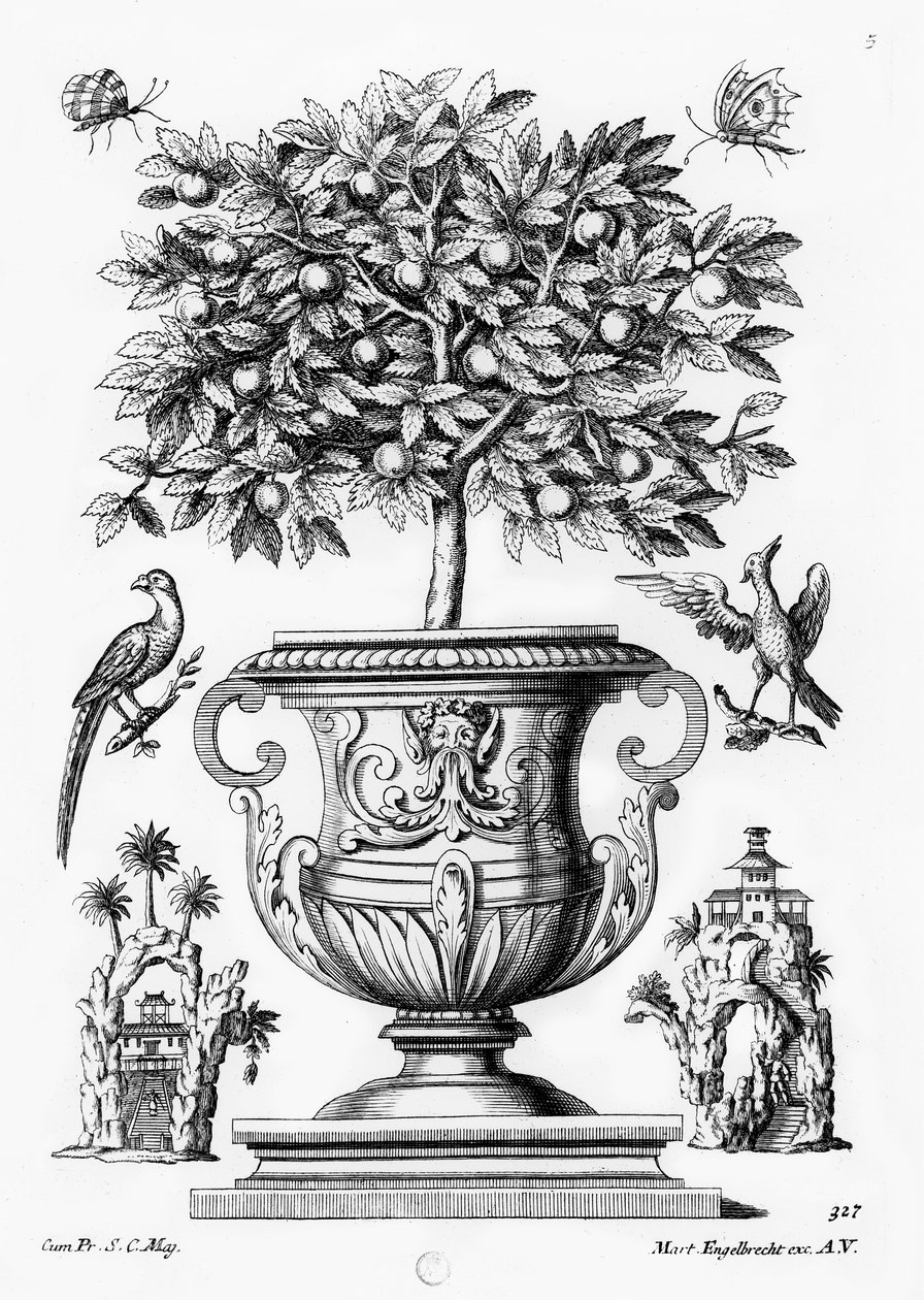 Sitruspuita, noin 1735 tekijältä Martin Engelbrecht