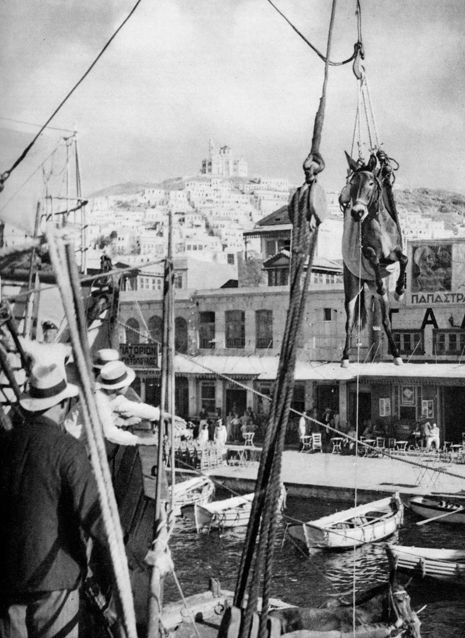 Muulien laivaus, Syros Island, Kreikka, 1937. tekijältä Martin Hurlimann