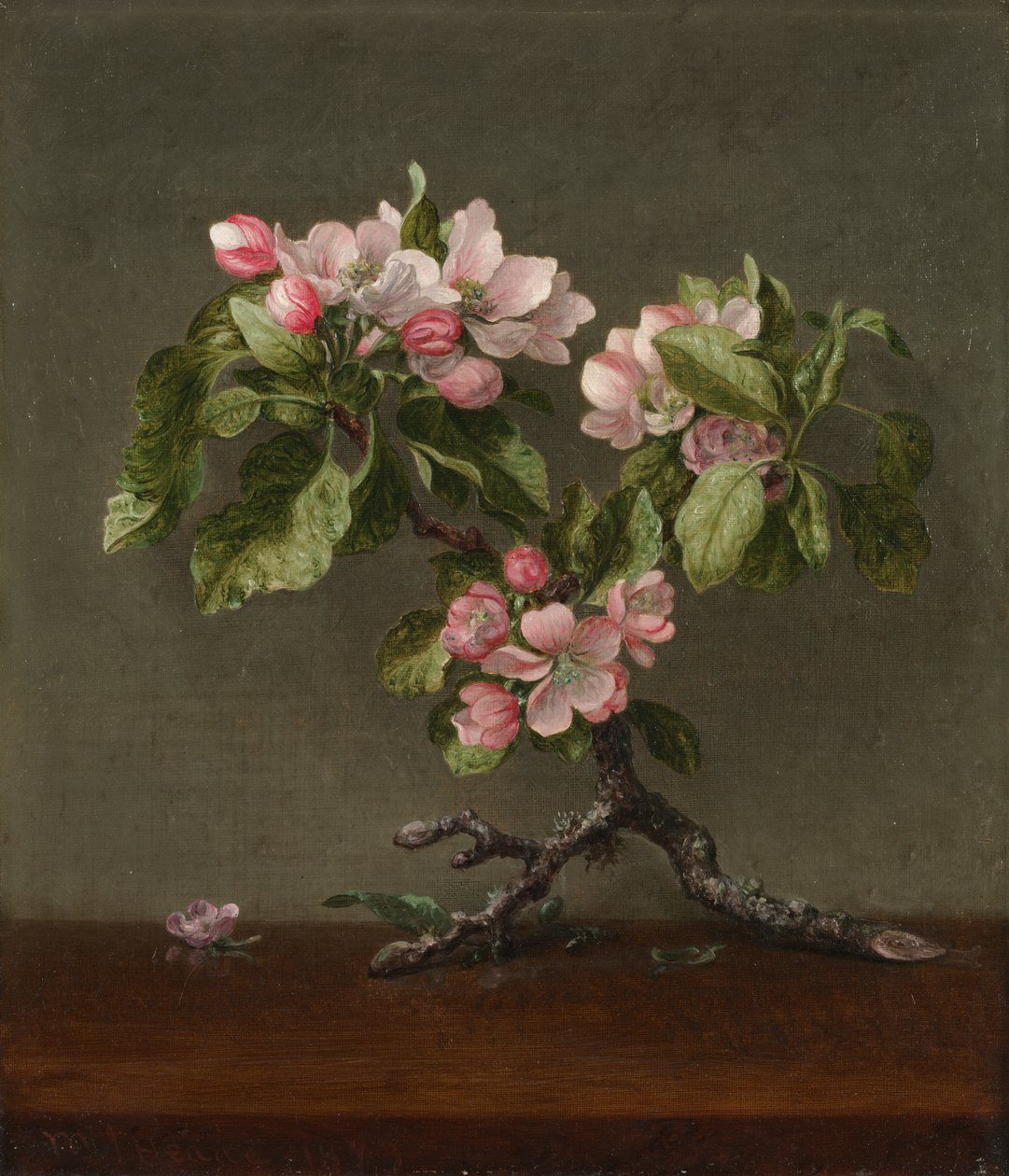 Omenankukkia tekijältä Martin Johnson Heade