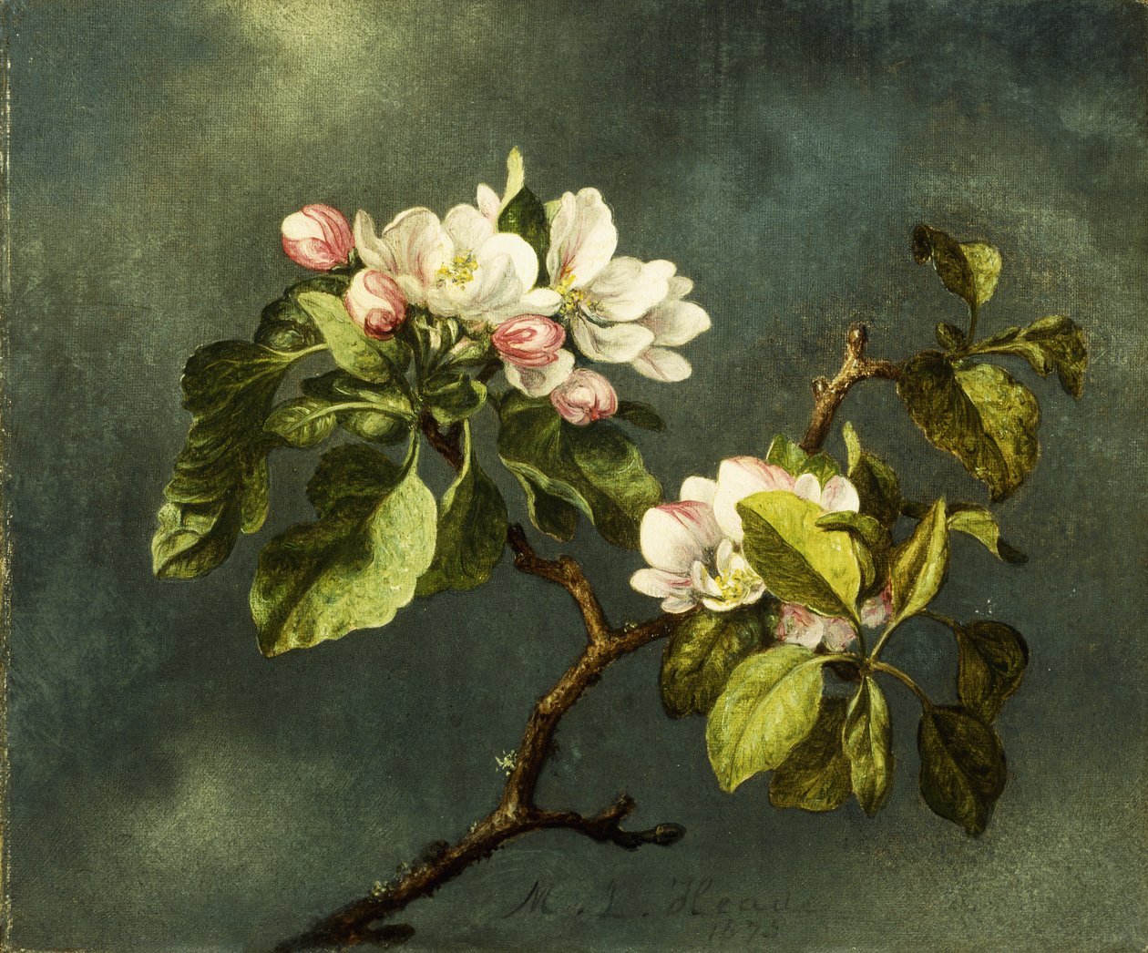Omenankukkia, tekijältä Martin Johnson Heade