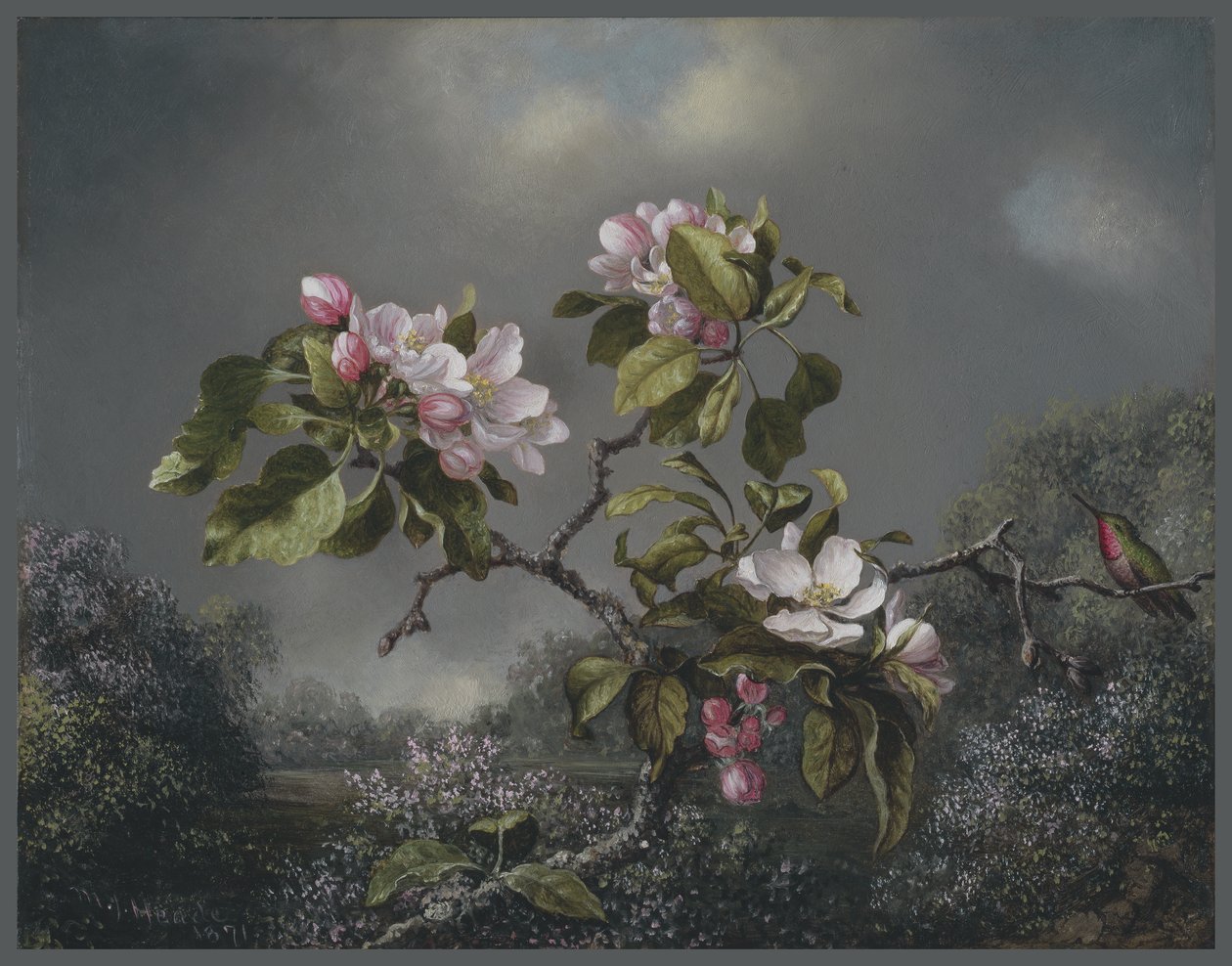 Apple Blossoms and Hummingbird, 1871 tekijältä Martin Johnson Heade