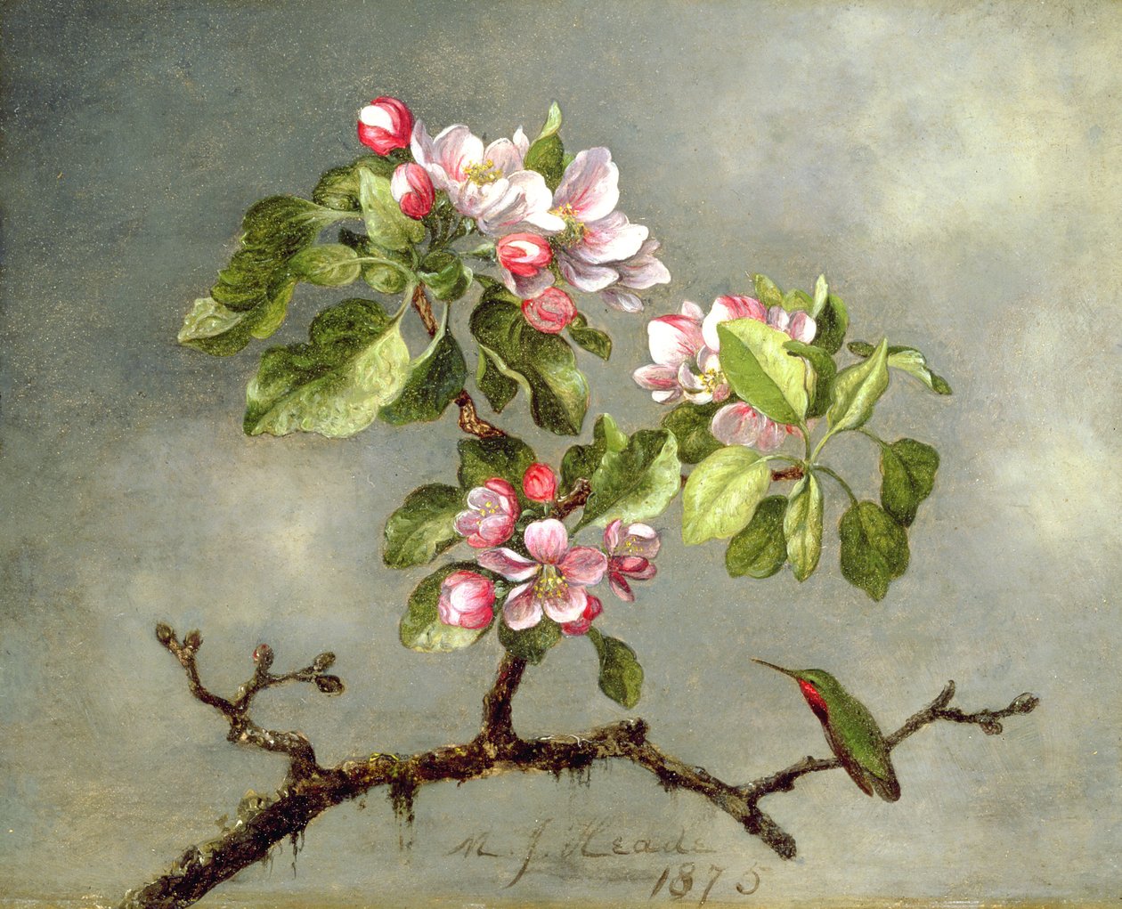 Omenankukat ja kolibri, 1875 tekijältä Martin Johnson Heade